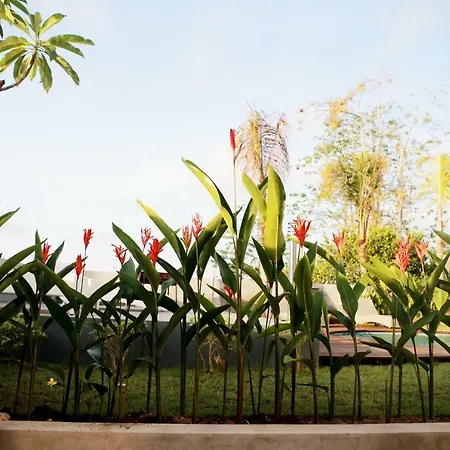 Vanilla Suite Jimbaran
