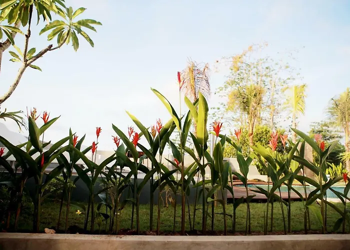 Vanilla Jimbaran (Bali)